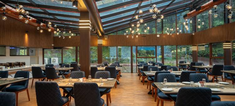 Serene Horizon图片