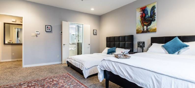 One Arts Plaza Townhome图片