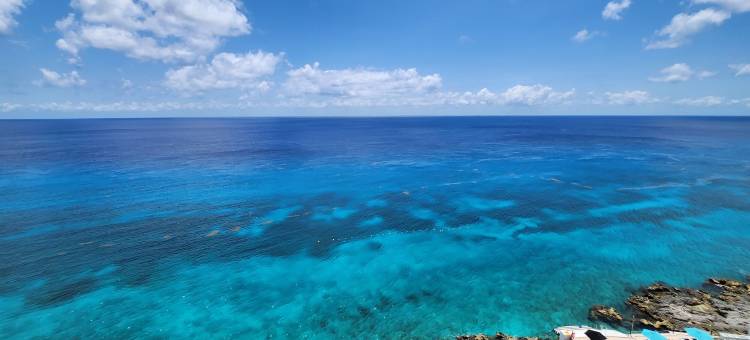 珊瑚公主酒店及潜水度假村(Coral Princess Hotel & Dive Resort)图片