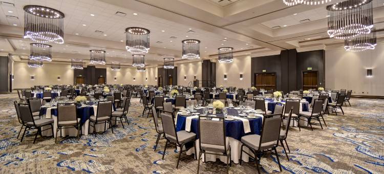 罗利达勒姆三角研究园希尔顿安泊酒店(Embassy Suites by Hilton Raleigh Durham Research Triangle)图片