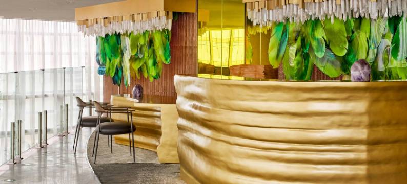 圣保罗W酒店(W São Paulo)图片