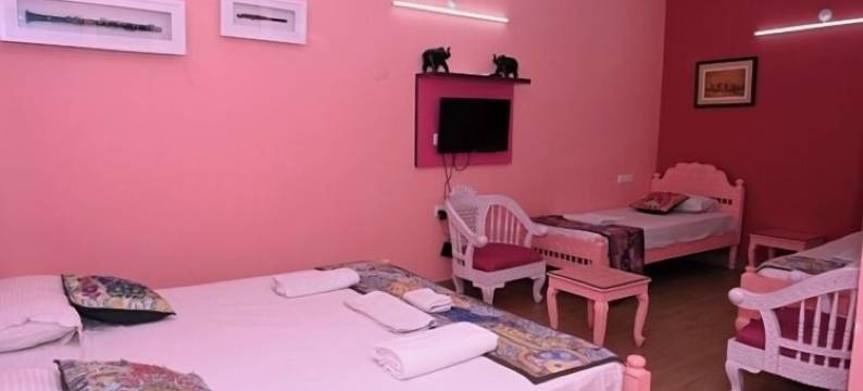 乌代布尔的Mewarts酒店(Hotel Mewarts Udaipur)图片