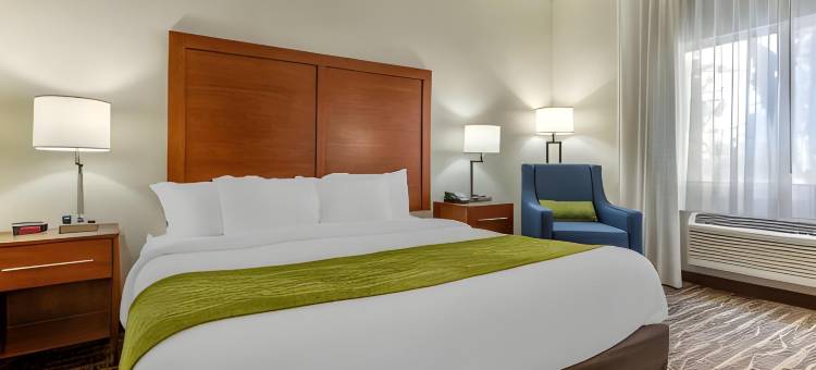 凤凰城北/鹿谷舒适套房酒店(Comfort Inn & Suites Phoenix North - Deer Valley)图片