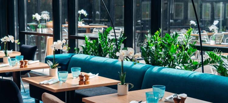 巴黎奥利朗吉斯机场美居酒店(Mercure Paris Orly Rungis Aéroport)图片