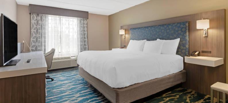 靠近东卡罗来纳大学的格林维尔舒适套房酒店(Comfort Inn & Suites Greenville Near East Carolina University)图片