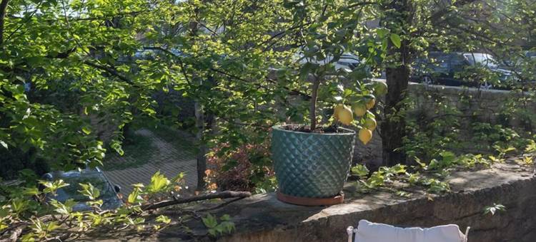 拉古尔吉尔民宿(Maison d'Hotes la Gourguille)图片