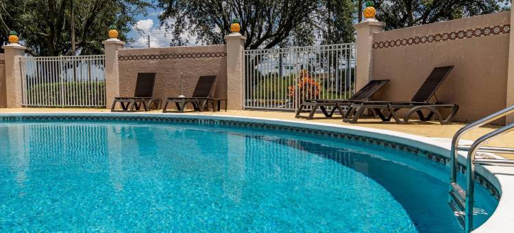 北莱克兰I-4舒适套房酒店(Comfort Inn & Suites Lakeland North I-4)图片