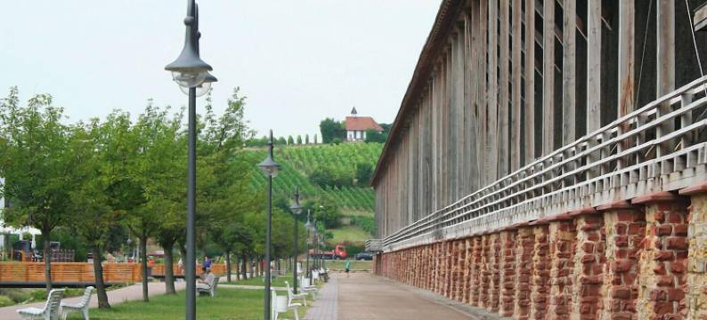 巴特迪克海姆旅馆(Hotel Bad Dürkheim)图片