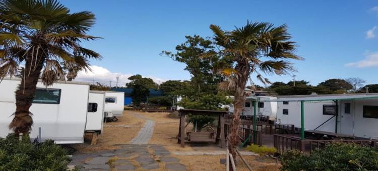 瑞温浦烧烤车(Seogwipo Pyoseoncaravan)图片