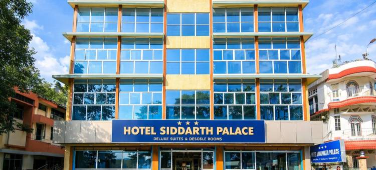 赛达斯宫酒店(Hotel Siddarth Palace)图片