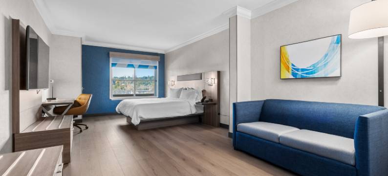 智选假日套房酒店圣克鲁斯(Holiday Inn Express & Suites SANTA CRUZ by IHG)图片