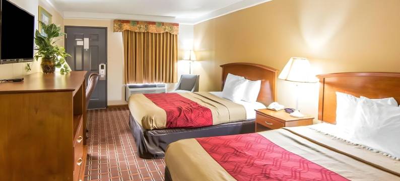 伊克诺旅馆诺克斯维尔北(Econo Lodge North)图片