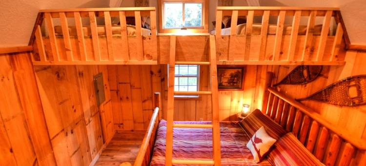 Cozy Forest Tiny Cabin • Hot Tub • Fire Pit • Pets Welcome • Near Noc & Gsmr图片