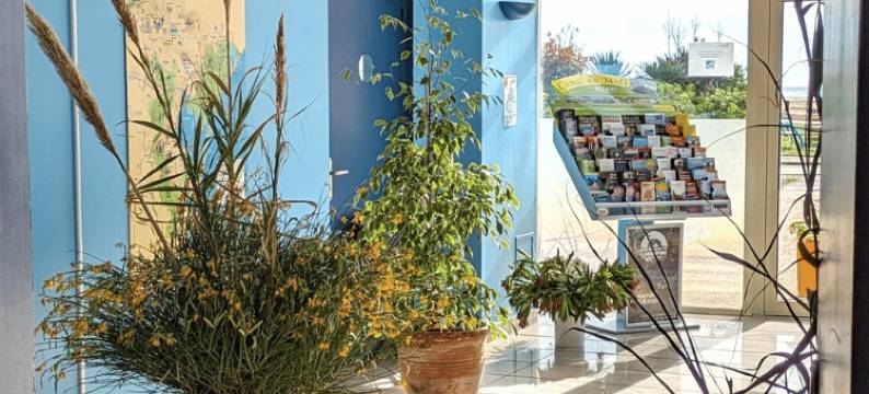 斯圣皮耶雷海岸欧莉迪亚住宅酒店(Olydea le Neptune Saint Pierre la Mer)图片