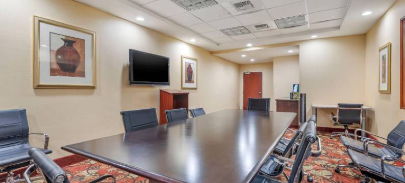 舒适套房酒店(Comfort Suites)图片