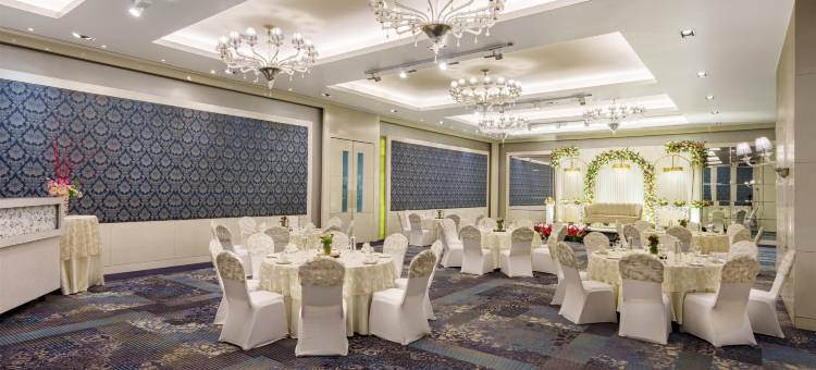 新德里帕池豪尔丽笙酒店(Radisson Hotel New Delhi Paschim Vihar)图片