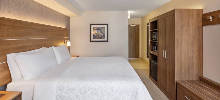 多伦多市中心智选假日酒店(Holiday Inn Express TORONTO DOWNTOWN by IHG)图片