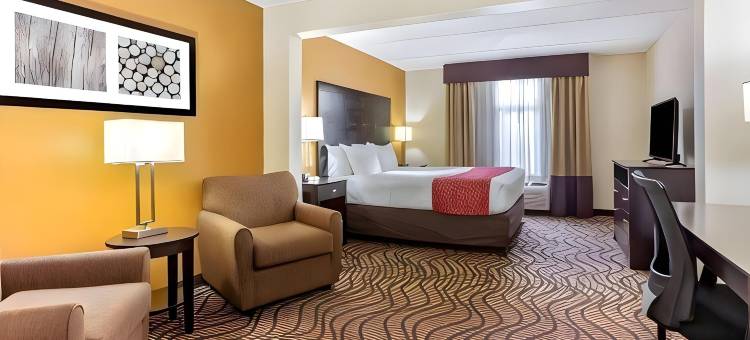 坦帕北I-75舒适套房酒店(Comfort Inn & Suites Tampa North I-75)图片