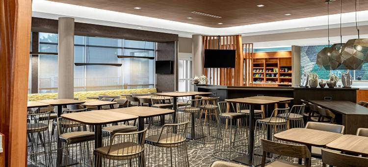 萨凡纳里士满山SpringHill Suites套房(SpringHill Suites Savannah Richmond Hill)图片