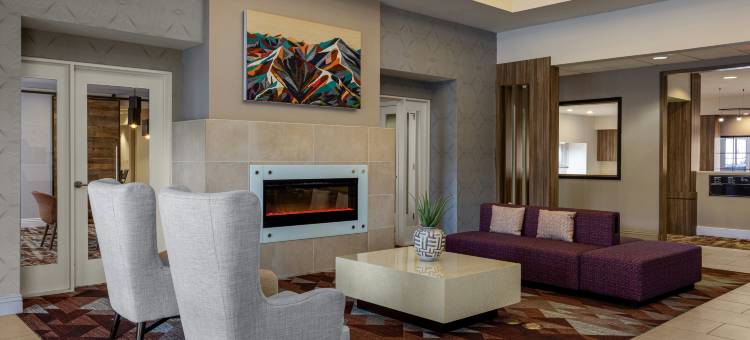 凤凰城机场希尔顿花园旅馆(Hilton Garden Inn Phoenix Airport)图片