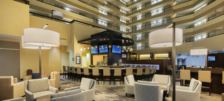 底特律特洛伊奥本山希尔顿大使套房酒店(Embassy Suites by Hilton Detroit Troy Auburn Hills)图片