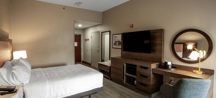 希尔顿欢朋酒店-斯普林菲尔德(Hampton Inn Springfield)图片