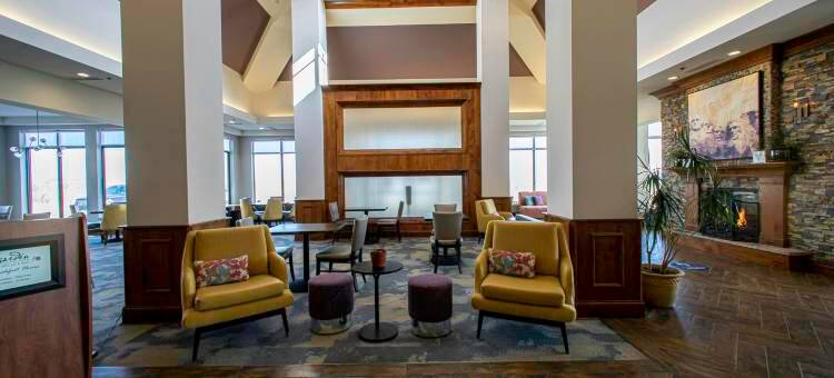拉皮德城希尔顿花园酒店(Hilton Garden Inn Rapid City)图片