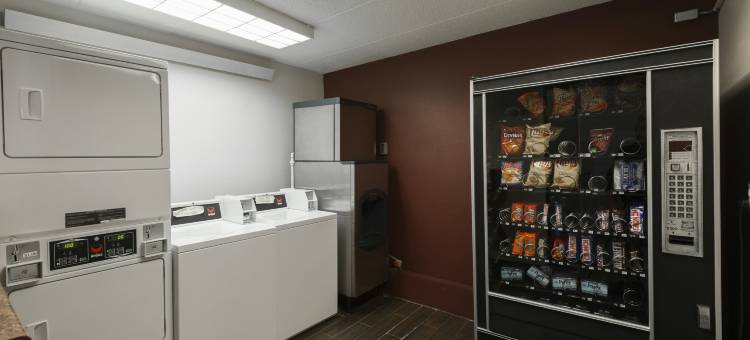 芝加哥奥黑尔机场阿灵顿HTS红顶酒店(Red Roof Inn Chicago-O'Hare Airport/ Arlington Hts)图片
