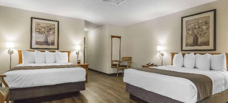 凯艺套房酒店(Quality Inn & Suites)图片