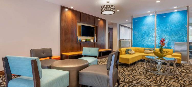 舒适套房酒店-罗德岱堡机场南游艇港(Comfort Suites Fort Lauderdale Airport South & Cruise Port)图片