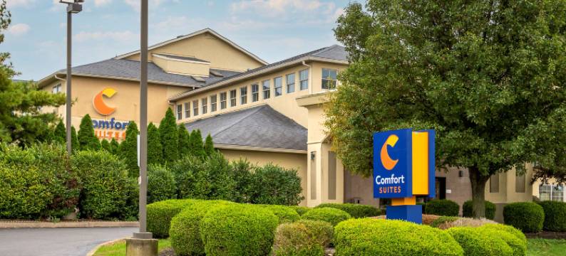 舒适套房酒店(Comfort Suites)图片