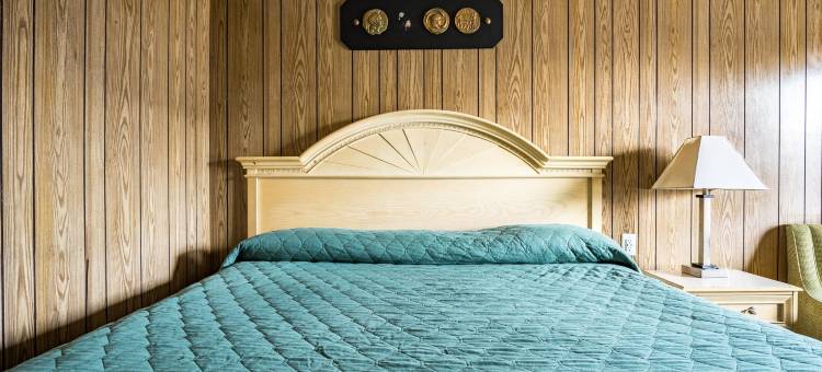 OYO密西西比霍利斯普林斯酒店(OYO Hotel Holly Springs MS)图片