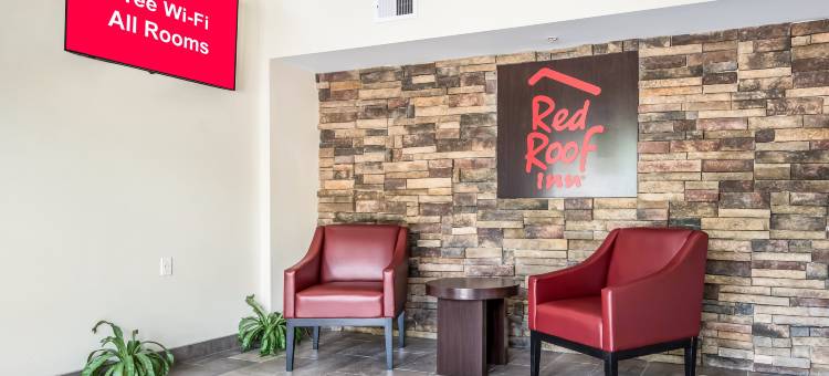 贝敦红顶酒店(Red Roof Inn Baytown)图片