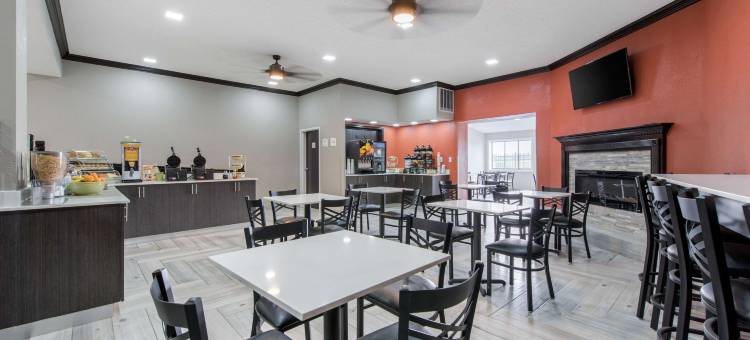 印第安纳波利斯西部布朗斯堡凯艺套房酒店(Quality Inn Indianapolis-Brownsburg - Indianapolis West)图片