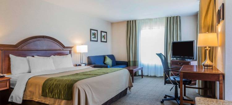 伯灵顿南舒适套房酒店(Comfort Inn & Suites)图片
