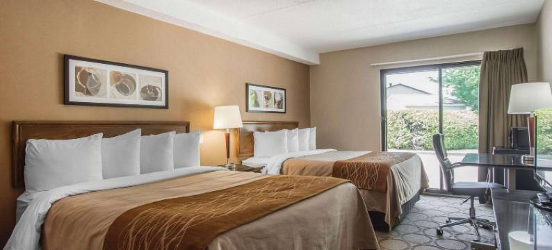 舒适酒店(Comfort Inn Sherbrooke)图片