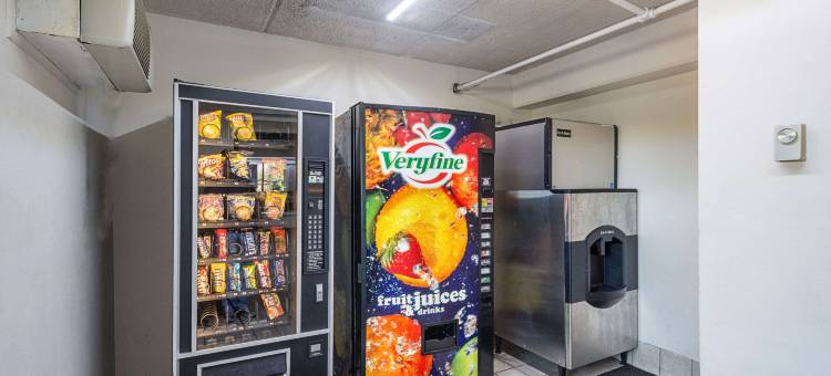 Bay Inn on Busch图片