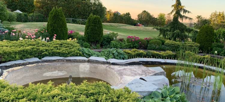 纽马基特旅馆(Newmarket Inn)图片