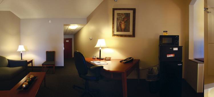 格林维尔贝斯特韦斯特优质套房酒店(Best Western Plus Suites-Greenville)图片