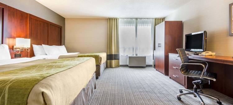 舒适套房酒店(Comfort Inn & Suites)图片