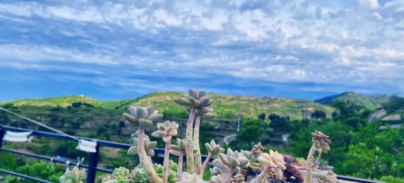 青岛栖宿·智能观海Villa美宿(崂山风景区青山村店)图片