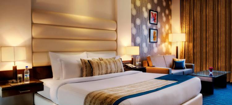 金色郁金香酒店-比瓦迪(Golden Tulip Bhiwadi)图片