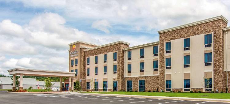 舒适套房旅馆(Comfort Inn & Suites East Ellijay)图片