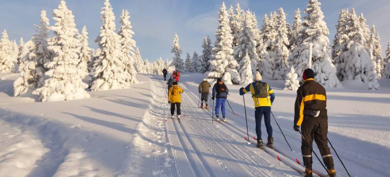 铁木市马格努森酒店(Magnuson Hotel Ironwood)图片