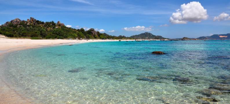 首都 O 1194 蜜蜂酒店(Capital O 1194 Bee Hotel)图片