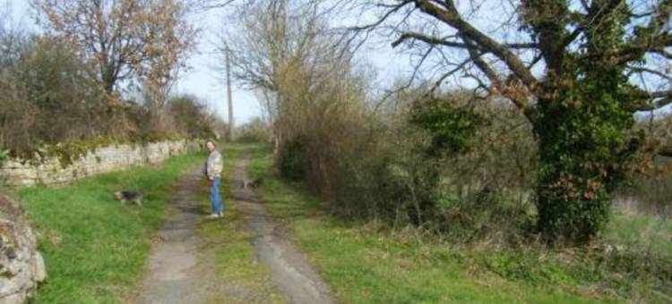 罗莱花朵酒店(Relais Motel de Maisonnay)图片