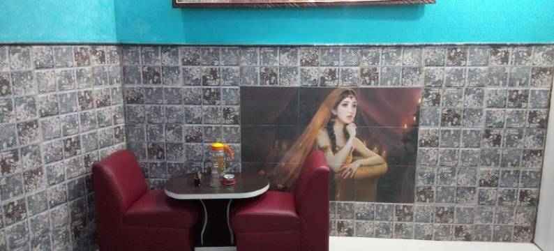 巴克强宫酒店(Hotel Bachchan Palace)图片