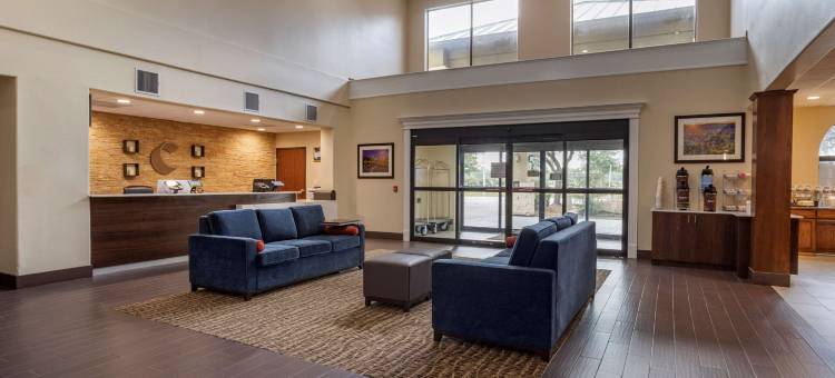 舒适套房酒店-近德克萨斯医学中心NRG体育场(Comfort Suites Near Texas Medical Center - NRG Stadium)图片