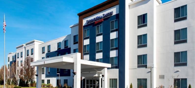 奥尔巴尼-科勒尼 SpringHill Suites 酒店(SpringHill Suites Albany-Colonie)图片
