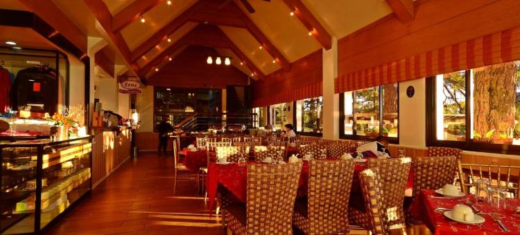 矿山公园酒店(Mines View Park Hotel)图片